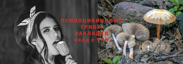 ПСИЛОЦИБИНОВЫЕ ГРИБЫ Абдулино